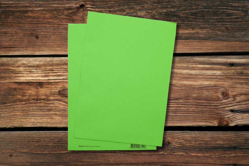 Ordnungsmappen 220x310 mm Intensivgrün 120 g/qm